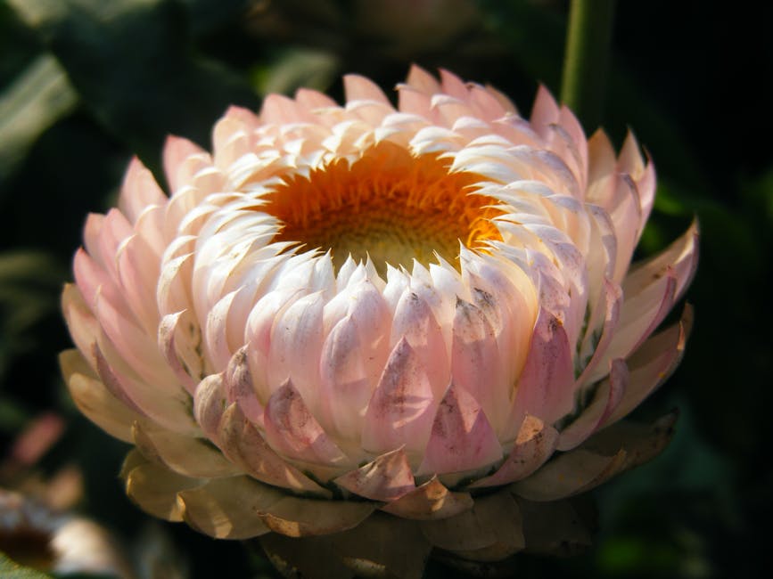 Summer Allergy Season: Understanding and Conquering Your Triggers - Symptoms and Diagnosis